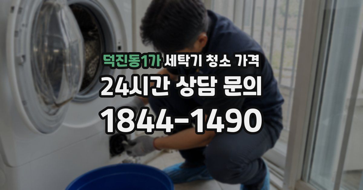 덕진동1가 세탁기 청소 가격
