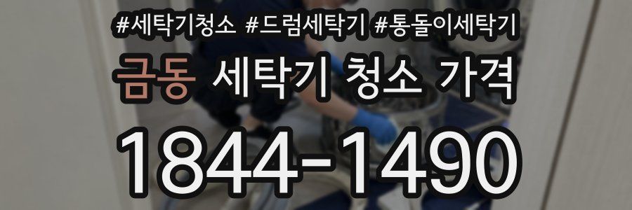 금동 세탁기 청소 가격