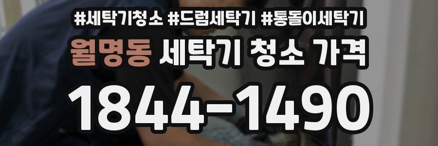 월명동 세탁기 청소 가격