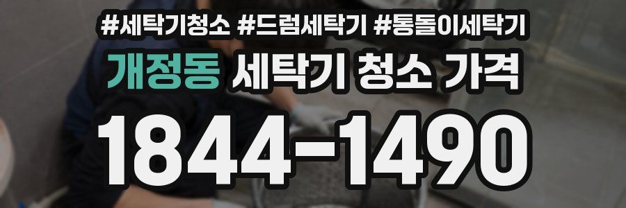 개정동 세탁기 청소 가격