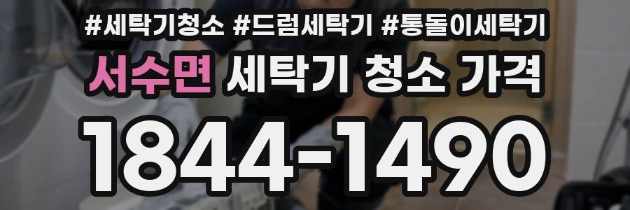 서수면 세탁기 청소 가격