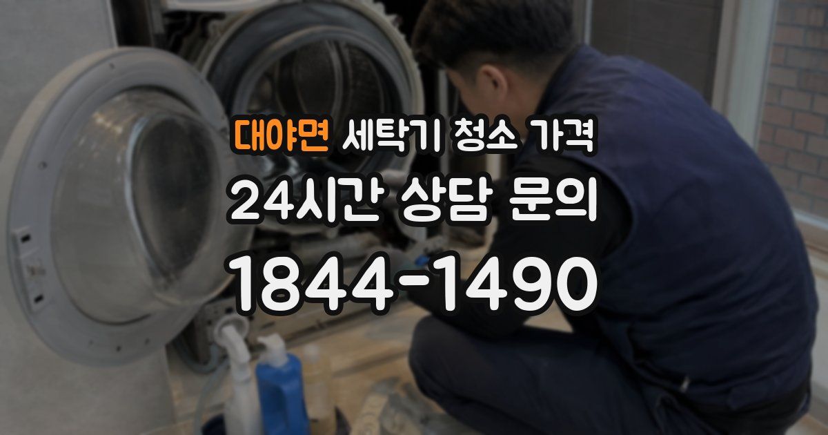 대야면 세탁기 청소 가격