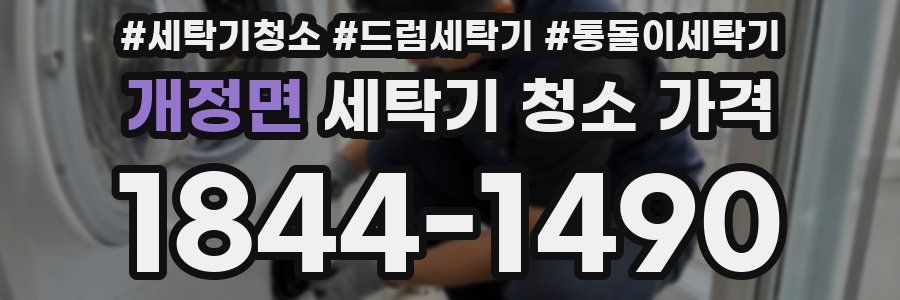 개정면 세탁기 청소 가격