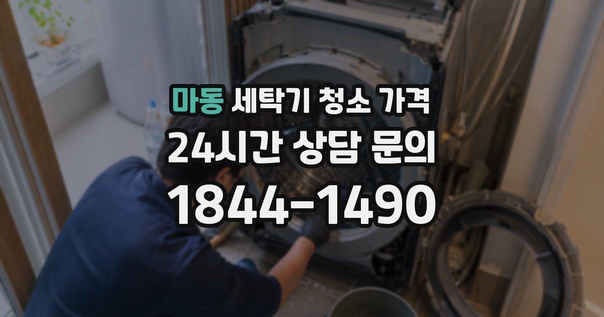 마동 세탁기 청소 가격
