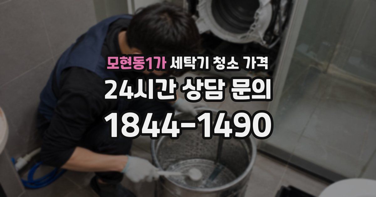 모현동1가 세탁기 청소 가격