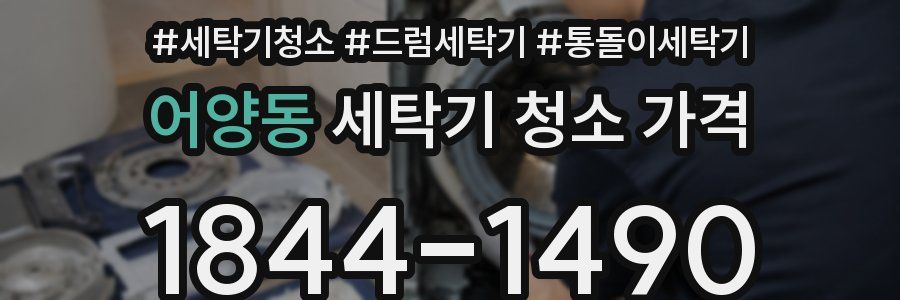 어양동 세탁기 청소 가격