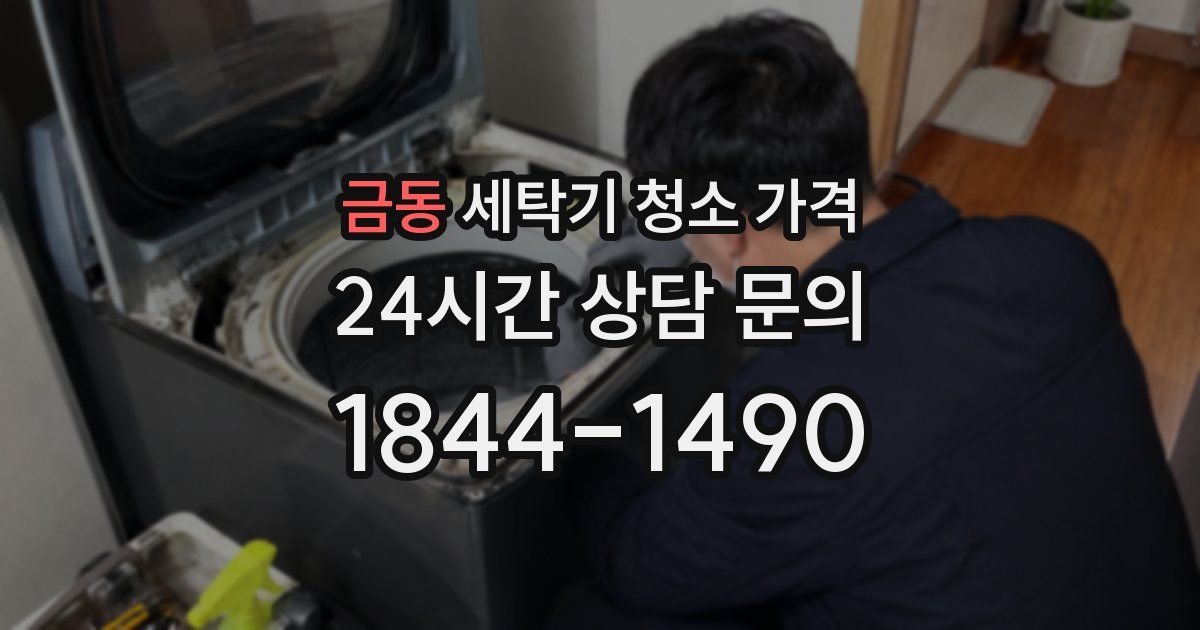 금동 세탁기 청소 가격