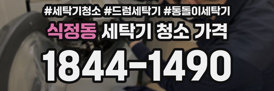 식정동 세탁기 청소 가격