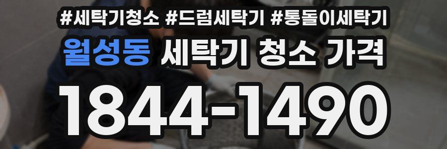 월성동 세탁기 청소 가격