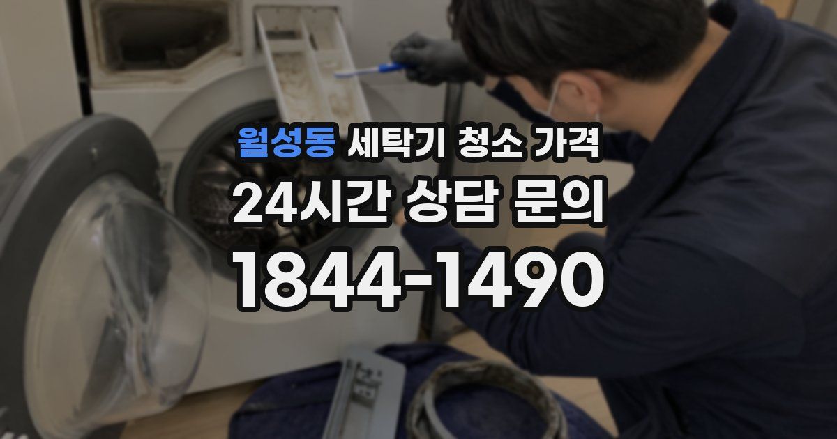월성동 세탁기 청소 가격