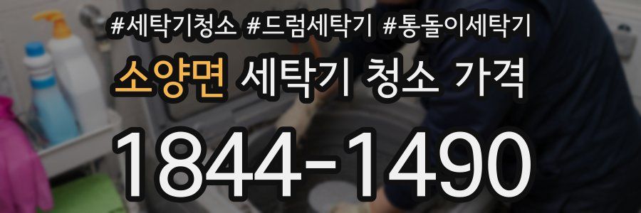 소양면 세탁기 청소 가격