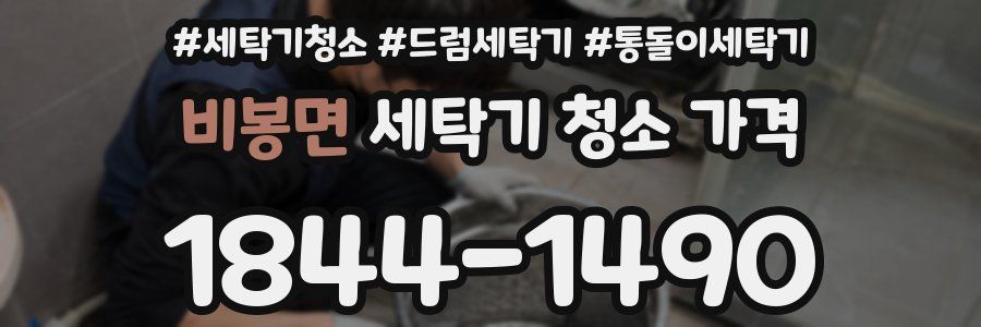비봉면 세탁기 청소 가격