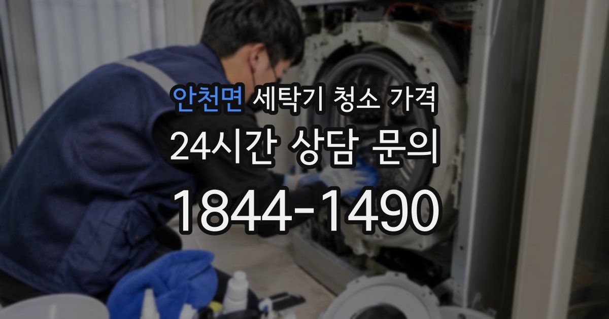 안천면 세탁기 청소 가격