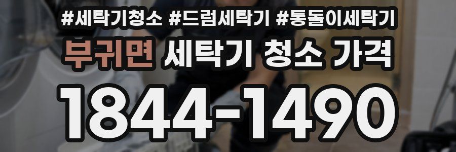부귀면 세탁기 청소 가격