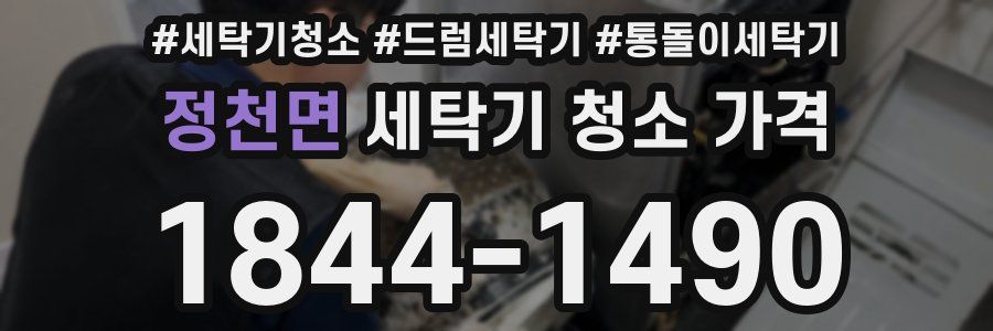 정천면 세탁기 청소 가격