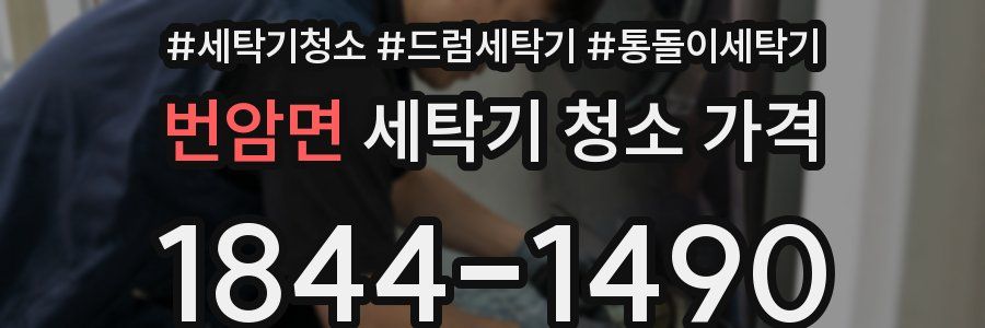 번암면 세탁기 청소 가격