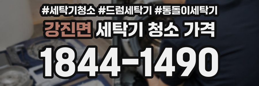 강진면 세탁기 청소 가격