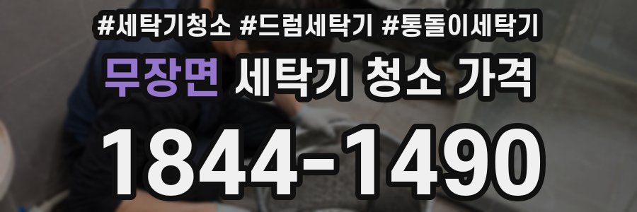 무장면 세탁기 청소 가격