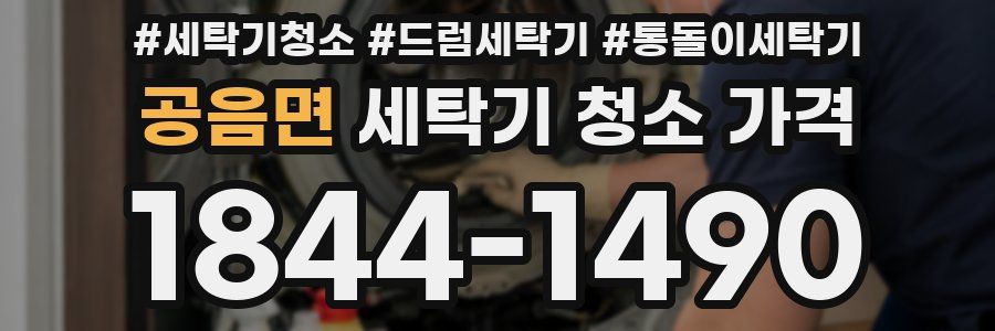 공음면 세탁기 청소 가격