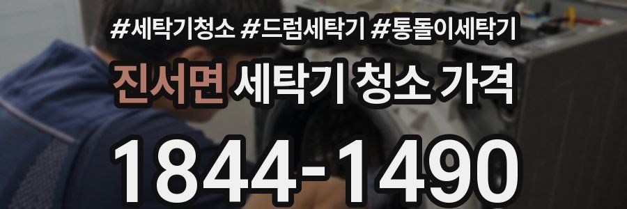진서면 세탁기 청소 가격