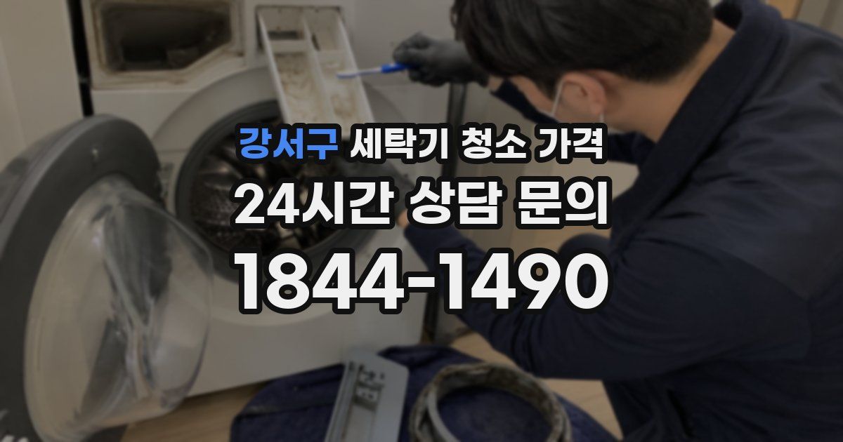 강서구 세탁기 청소 가격