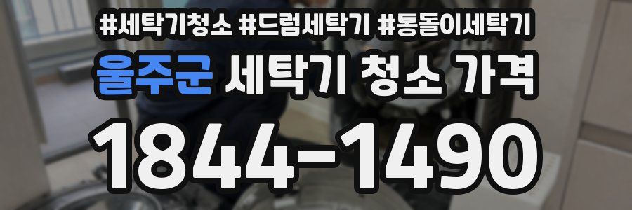 울주군 세탁기 청소 가격
