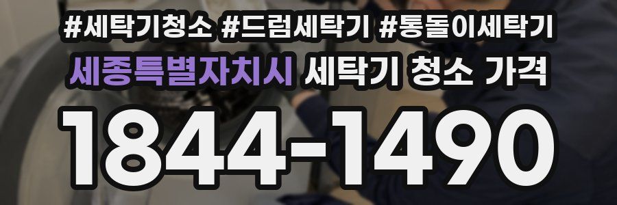 세종특별자치시 세탁기 청소 가격
