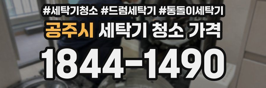 공주시 세탁기 청소 가격
