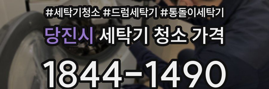 당진시 세탁기 청소 가격