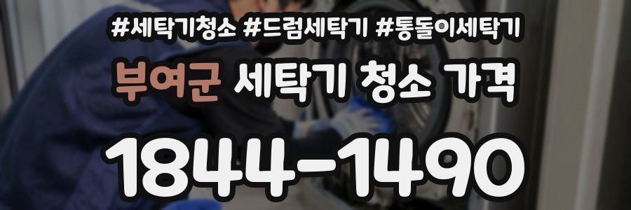 부여군 세탁기 청소 가격