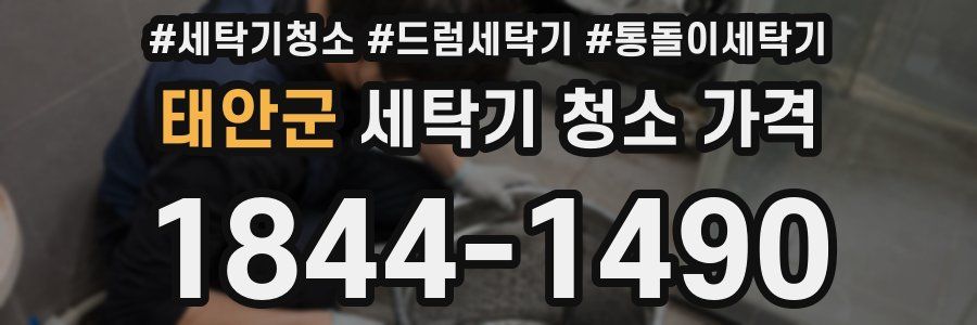 태안군 세탁기 청소 가격