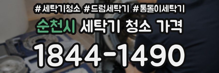 순천시 세탁기 청소 가격