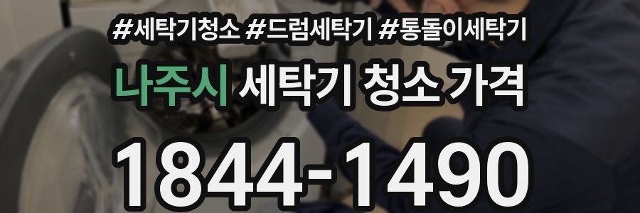 나주시 세탁기 청소 가격