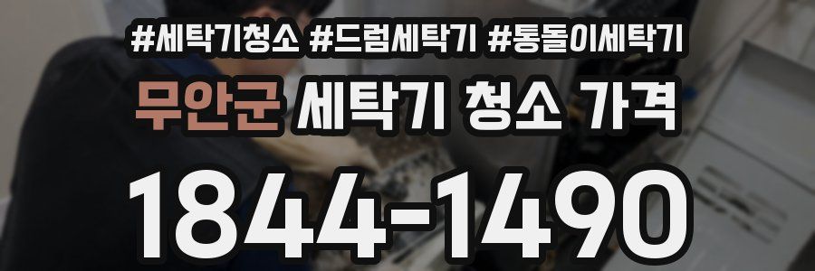 무안군 세탁기 청소 가격
