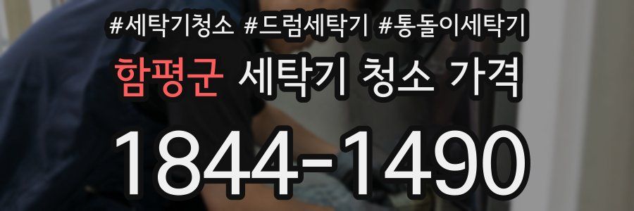 함평군 세탁기 청소 가격