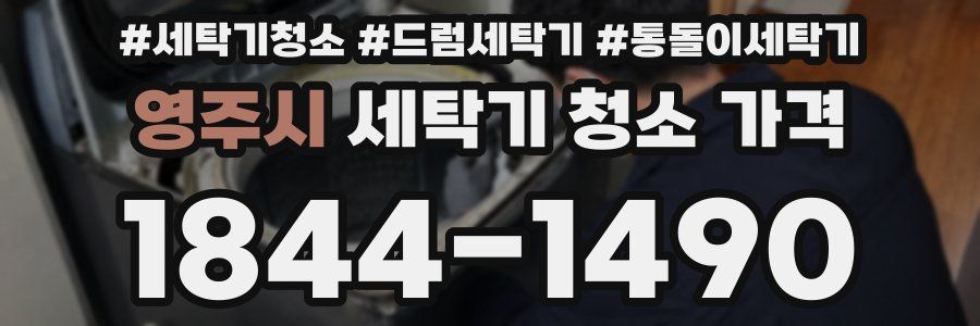 영주시 세탁기 청소 가격
