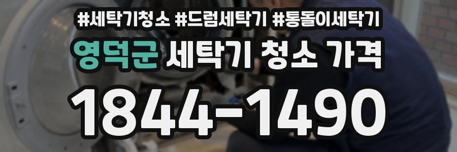 영덕군 세탁기 청소 가격