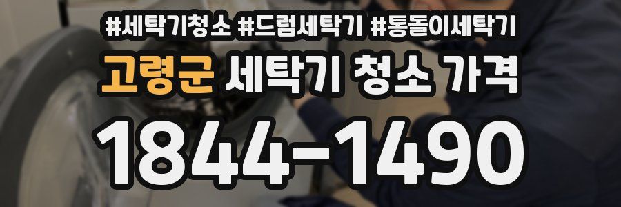 고령군 세탁기 청소 가격