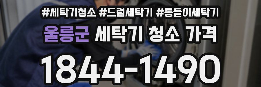 울릉군 세탁기 청소 가격