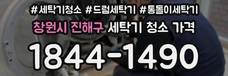 창원시 진해구 세탁기 청소 가격