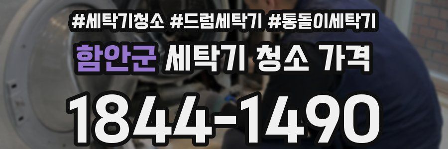 함안군 세탁기 청소 가격