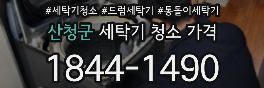 산청군 세탁기 청소 가격