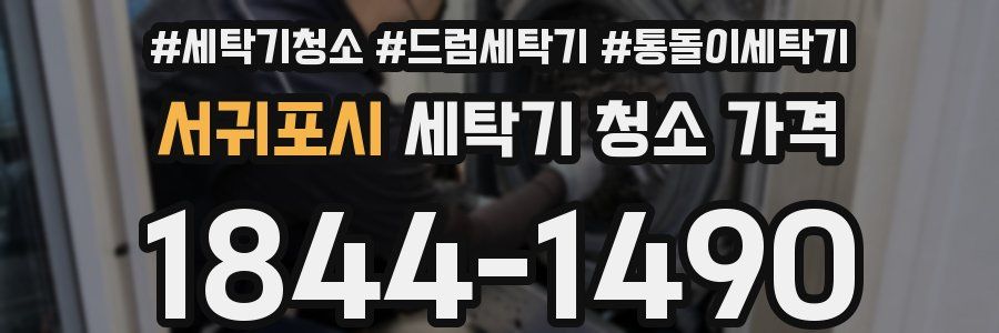 서귀포시 세탁기 청소 가격