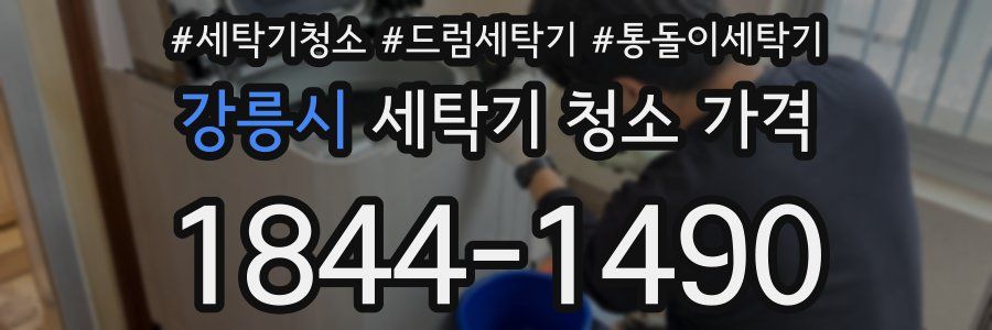 강릉시 세탁기 청소 가격