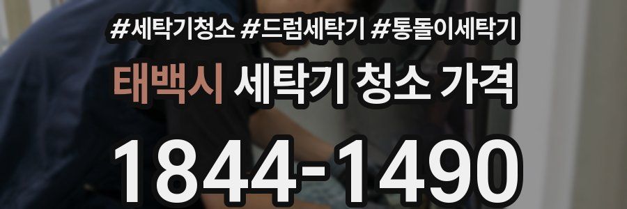 태백시 세탁기 청소 가격