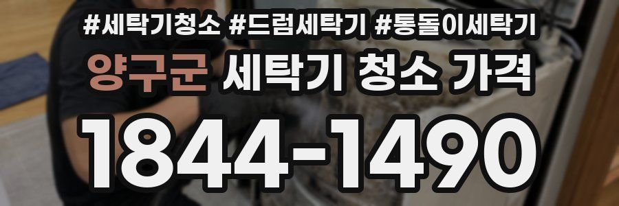 양구군 세탁기 청소 가격