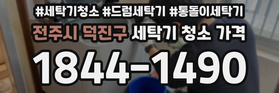 전주시 덕진구 세탁기 청소 가격