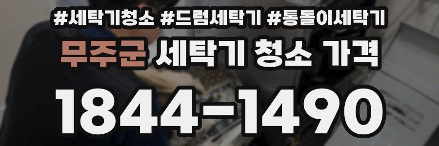 무주군 세탁기 청소 가격