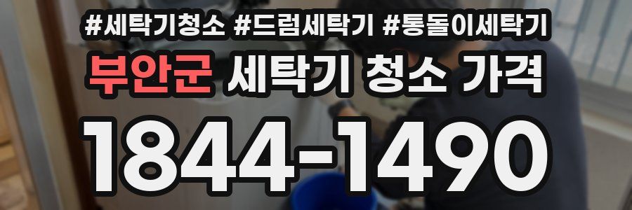 부안군 세탁기 청소 가격