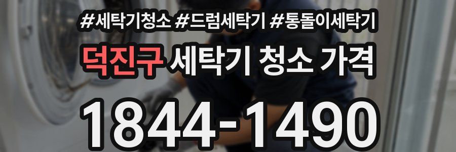 덕진구 세탁기 청소 가격